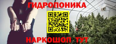 стафф Кандалакша