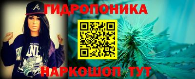 стафф Кандалакша