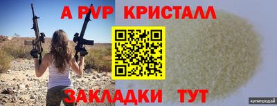 стафф Кандалакша
